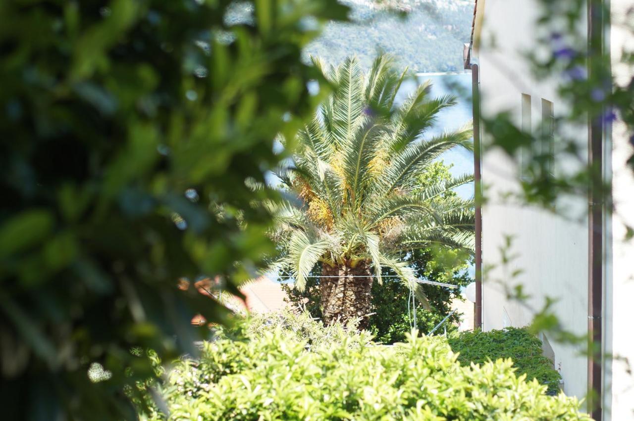 Ferienwohnung Oasis Blue Korčula Exterior foto